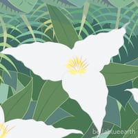 Image 2 of Art Print - Trillium Woods