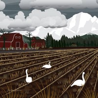 Image 2 of Art Print - Bellingham Mud Swans