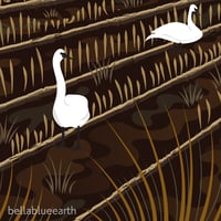 Image 4 of Art Print - Bellingham Mud Swans