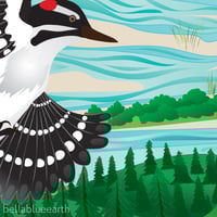 Image 2 of Art Print - Trillium Woodpecker Berries