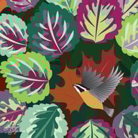 Image 5 of Art Print - Autumn Maple