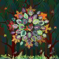 Image 6 of Art Print - Autumn Maple