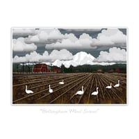 Image 1 of Poster - Bellingham Mud Swans