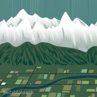 Image 2 of Poster - Swans Above Whatcom