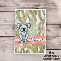 For Someone Special - Birthday Card - Koala