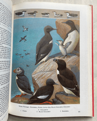 Image 3 of The Oxford Book of Birds