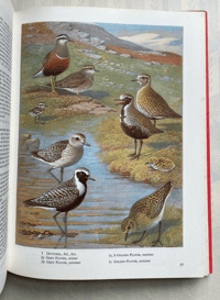 Image 7 of The Oxford Book of Birds