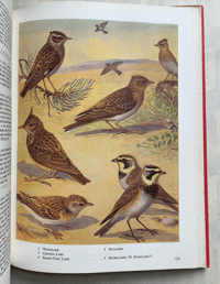 Image 7 of The Oxford Book of Birds