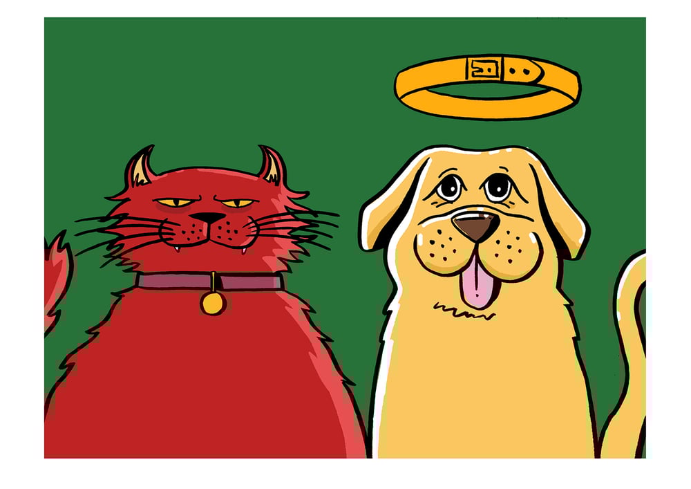 Image of Cats v Dogs
