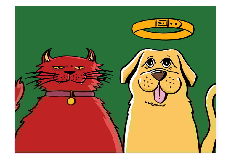 Image of Cats v Dogs