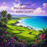 Image 1 of Suleiman (2024 Wild Blue Aceh)