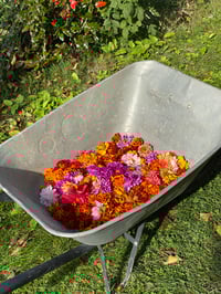 Image 5 of Stínidlo s květinovým akvarelem – závěsná lampa