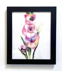 Art Print of Gladiolus 