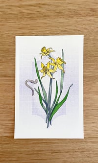 Daffodil Print