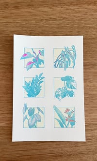 Image 1 of Houseplants Print