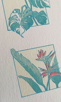 Image 2 of Houseplants Print
