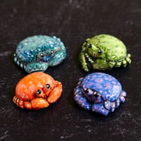 Image 1 of Colorful Crab