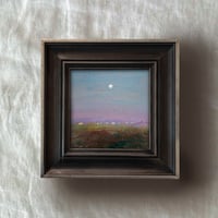 Image 2 of No Sound but the Crickets - study