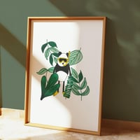 Image 1 of Lost Panda Print
