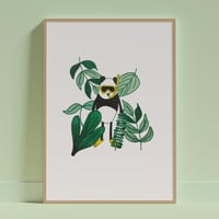 Image 4 of Lost Panda Print