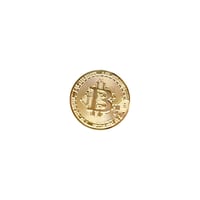 Bit Coin pin