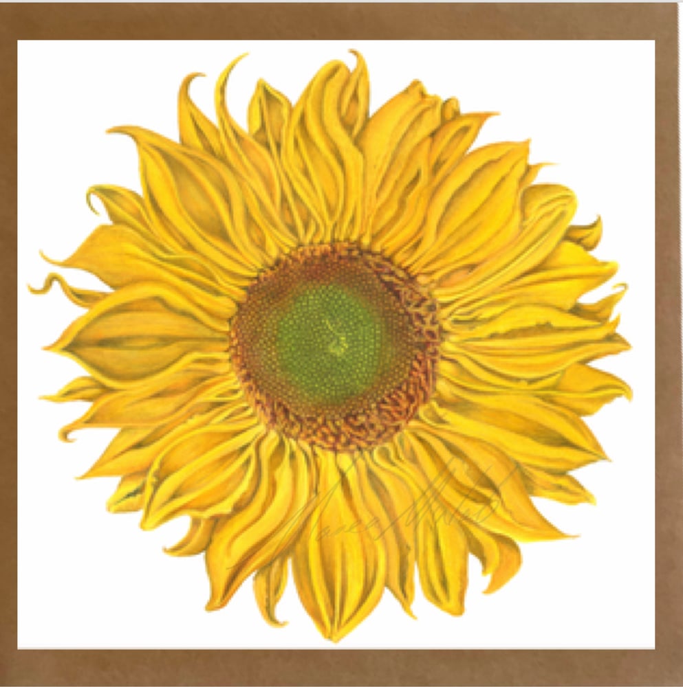 Image of Botanical Cards