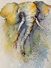 Wild Elephant