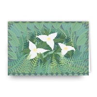 Image 1 of Box Set of six 6x4" Greeting Cards - "Trillium Woods"