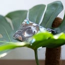 Image 3 of Happy Sloth Münzbörse