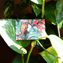 Image 1 of Tucano Münzbörse