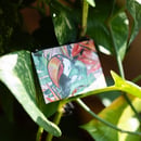 Image 2 of Tucano Münzbörse