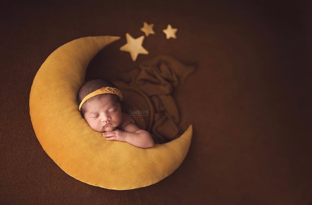 Image of Chloe thick knit beanbag backdrop in Chestnut