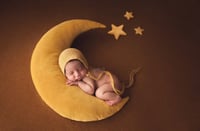 Image 3 of Chloe thick knit beanbag backdrop in Chestnut