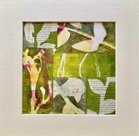 Image 5 of Summer Botanical Gelliprinting at Clevedon Craft Centre 24/05/25