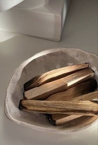 PALO SANTO ⌇HOLLY WOOD