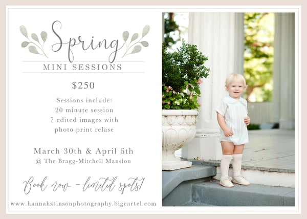 Image of Spring Minis 2025 - March 30th