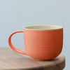 #2  Colour-Combo Mug in 3 colour choices 