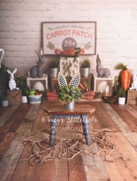 Image 2 of 2025 Carrot Patch Easter Mini - STUDIO Flash SALE 