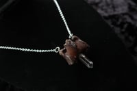 Image 3 of Dead good vertebrae and quartz piece