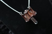 Image 4 of Dead good vertebrae and quartz piece