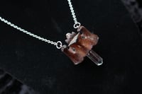 Image 6 of Dead good vertebrae and quartz piece
