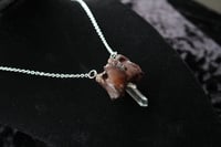 Image 5 of Dead good vertebrae and quartz piece