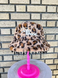 Cheetah DB