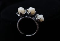 Image 1 of Dead Good milk teeth trio ring