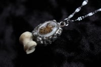 Image 1 of Dead Good woodlouse and Rabbit bone necklace