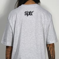 Image 2 of SPTC PANTER T