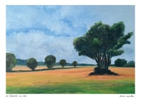 Image 1 of Somewhere in Cork Poster