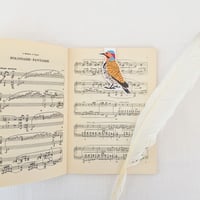 Image 2 of Northern Flicker Magnetic Bookmark