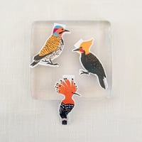 Image 5 of Northern Flicker Magnetic Bookmark