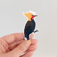 Image 4 of Blonde Crested Woodpecker Magnetic Bookmark